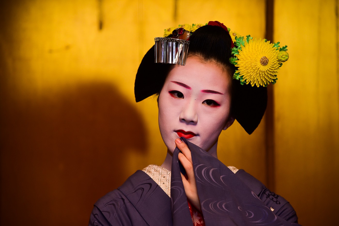 20141013 kyoto geisha 1054
